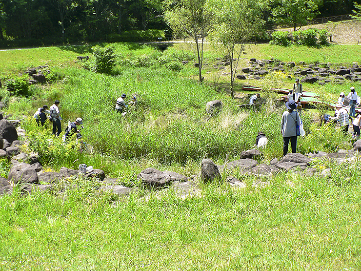 【えひめエコ・ハウス「3月の虫づくしイベント」 愛媛/松山市】 親子で学ぶ！ 春の虫たちの不思議に出会おう！