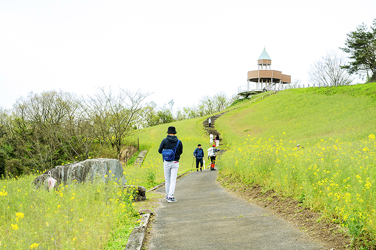 【翠波高原 菜の花まつり 愛媛/四国中央市】 一面の菜の花に囲まれる圧倒的な映え空間を楽しもう！