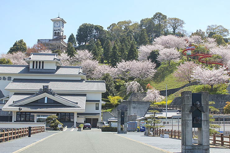 【瓦のふるさと公園 愛媛/今治市】 桜と瀬戸内海の絶景を楽しむ春のひととき