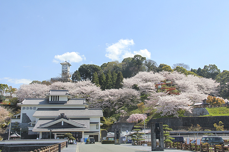 【瓦のふるさと公園 愛媛/今治市】 桜と瀬戸内海の絶景を楽しむ春のひととき