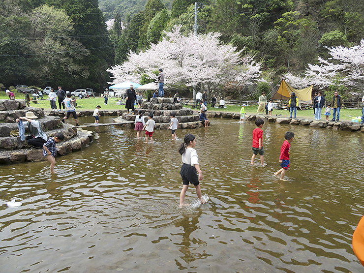 【朝倉ダム湖畔緑水公園 桜情報 愛媛/今治市】 700本の桜が咲き誇る公園で、温かな春をあなたに