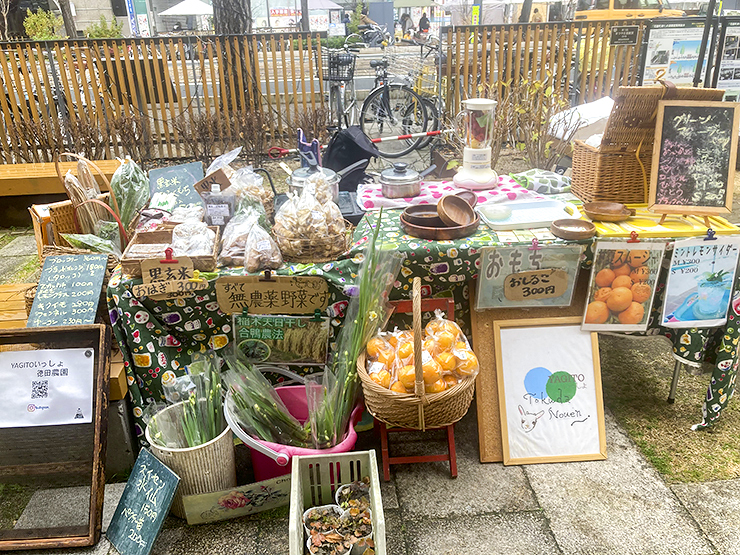 【お城下マルシェ 愛媛/松山市】 今月は「春のあしおと」がテーマ！ つくり手との距離が近いイベントで、素敵な時間をあなたに