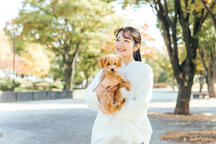 【アイリーフェスティバル2025 愛媛/松山市】 のんびりと風を感じながらわんちゃんと一緒に楽しめる！