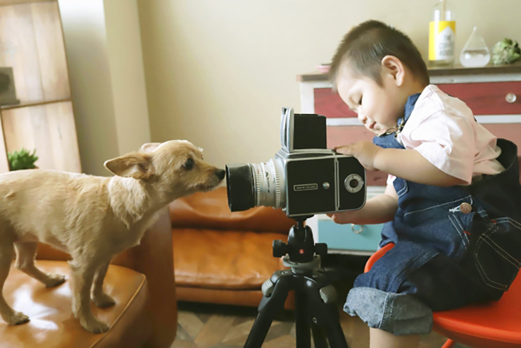 【アイリーフェスティバル2025 愛媛/松山市】 のんびりと風を感じながらわんちゃんと一緒に楽しめる！
