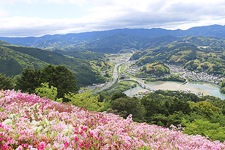 【冨士山つつじまつり 愛媛/大洲市】 色とりどりのつつじで春の絶景を満喫