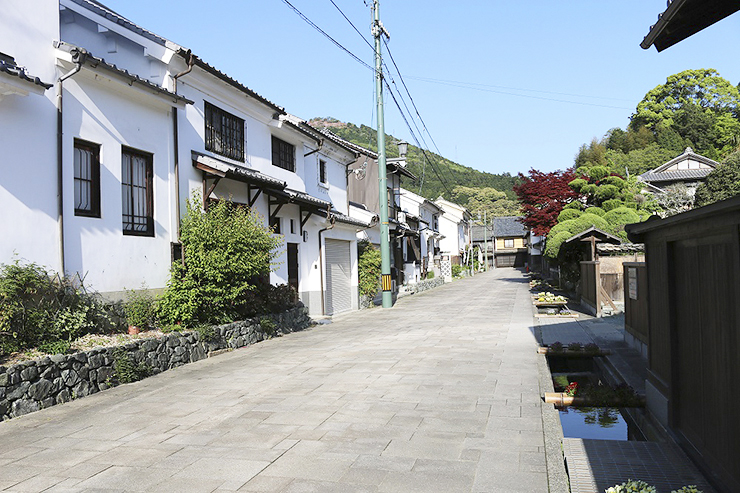 【冨士山つつじまつり 愛媛/大洲市】 色とりどりのつつじで春の絶景を満喫
