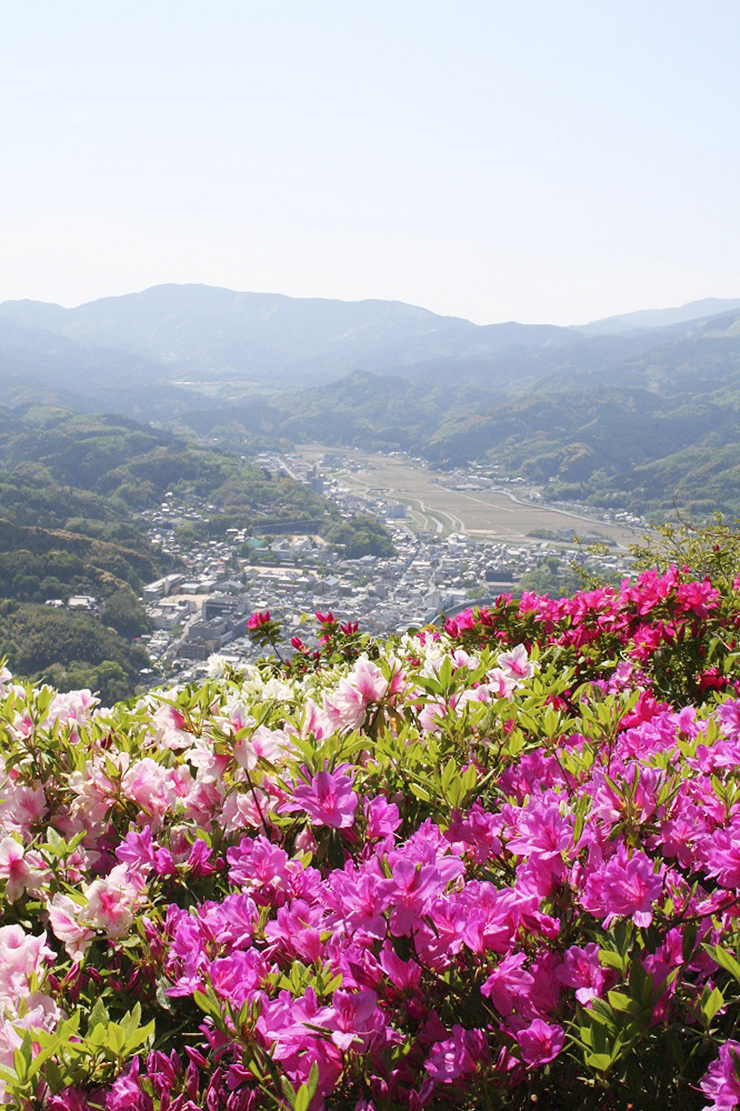 【冨士山つつじまつり 愛媛/大洲市】 色とりどりのつつじで春の絶景を満喫