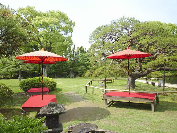 【名勝 天赦園 春の呈茶会 愛媛/宇和島市】 天赦園で味わう特別な茶道体験