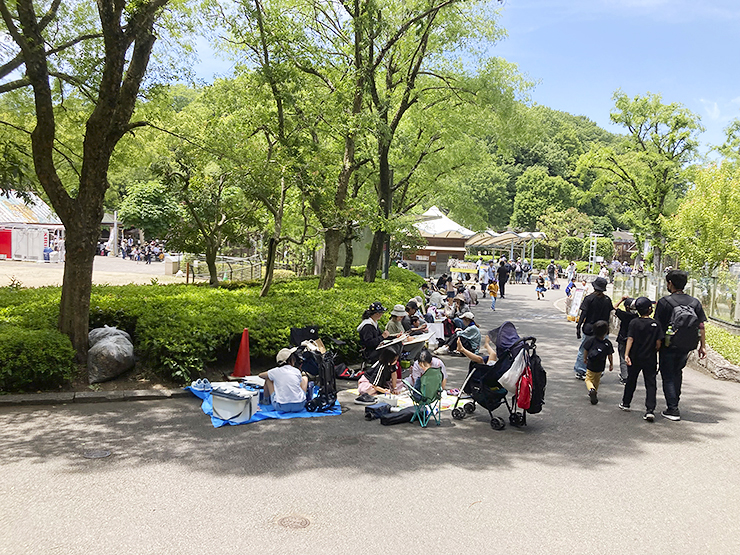 【第38回とべ動物園写生大会 愛媛/砥部町】 動物たちの姿を目の前で描く特別な時間を過ごそう