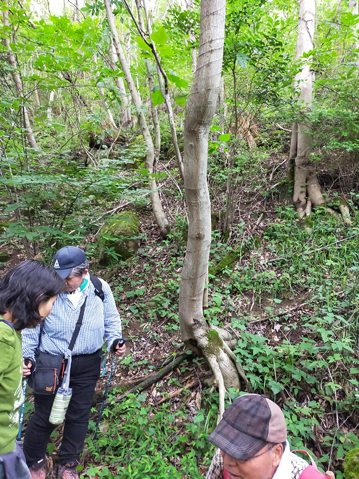 【日本熊森教会 全国一斉フィールドワークの日 愛媛/東温市】 川内 千年の森で自然と触れ合う特別な体験をしよう