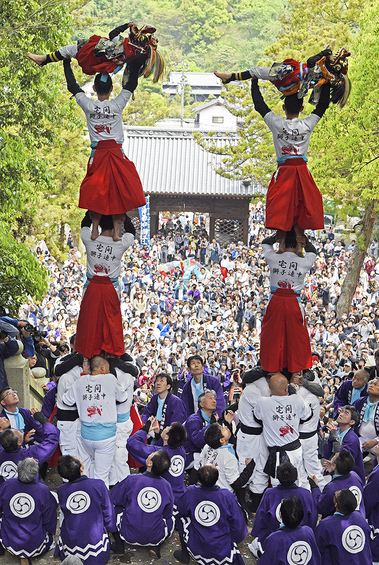 【今治地方春祭り 愛媛/今治市】 春の訪れを告げる壮大な継ぎ獅子を見に行こう！