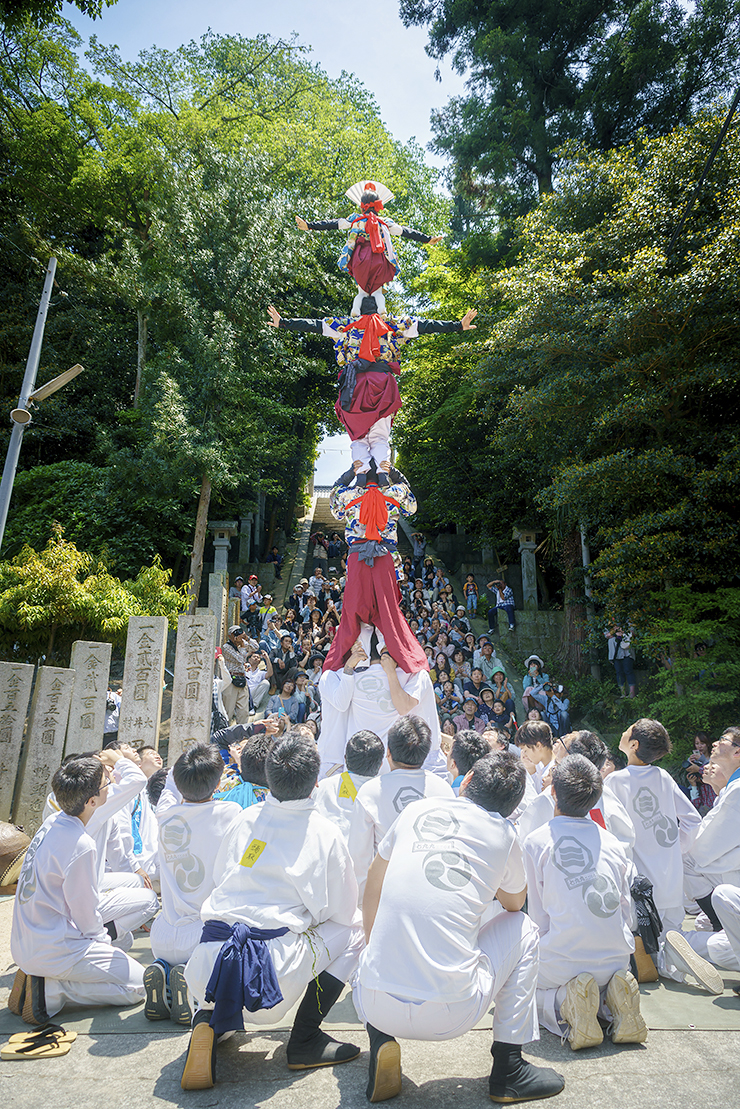 【今治地方春祭り 愛媛/今治市】 春の訪れを告げる壮大な継ぎ獅子を見に行こう！