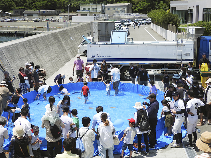 【第8回はなはな祭り 愛媛/伊方町】 佐田岬はなはなリニューアル5周年記念で熱気あふれる一日を！
