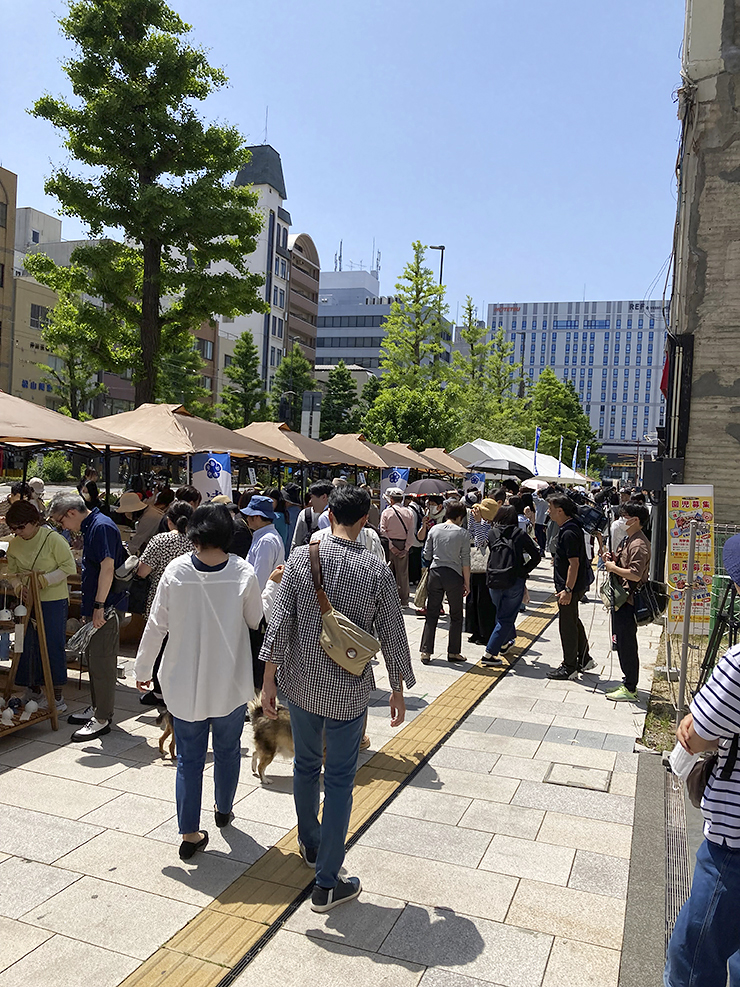【まつやま花園砥部焼まつり2025 愛媛/松山市】 花園町商店街で陶器の魅力を満喫する特別な2日間