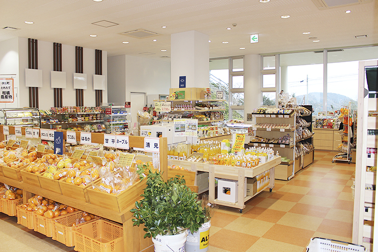 【第28回きららまつり 愛媛/伊方町】 道の駅伊方きらら館で楽しむ特産品と素晴らしい景色