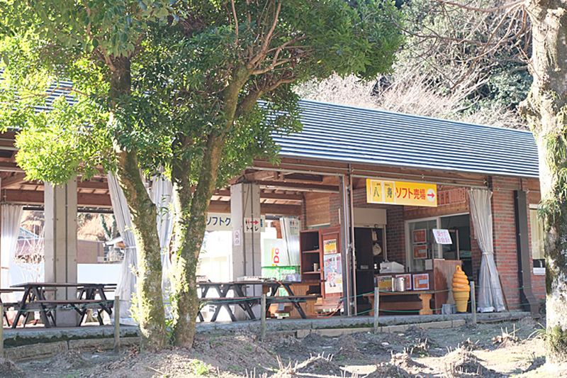 マイントピアフェス