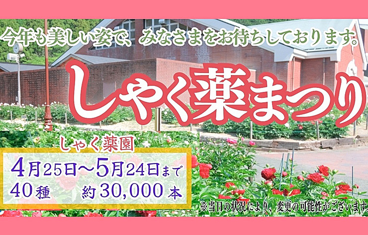 しゃく薬まつり