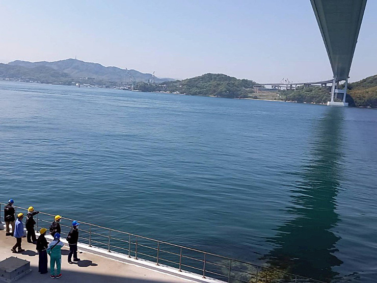 来島海峡遊覧船&来島海峡大橋塔頂体験