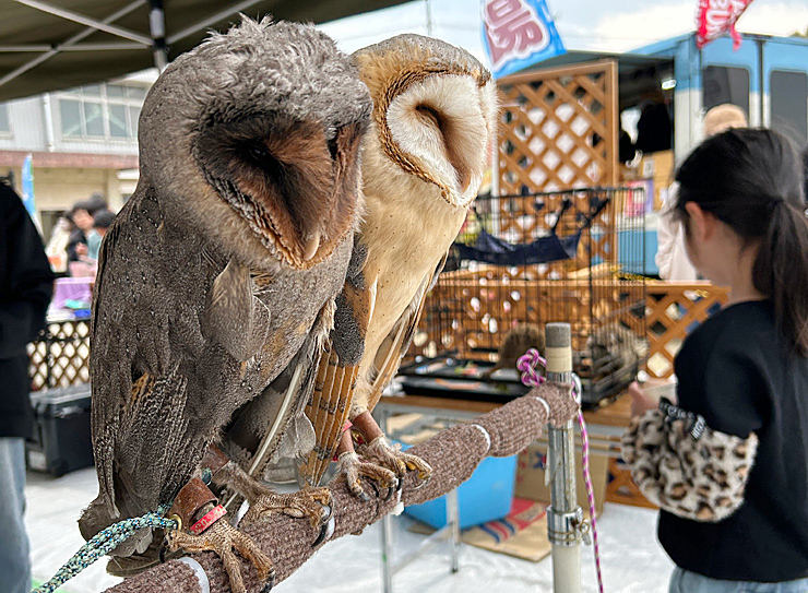 第12回ワクリエ新居浜わくわくマルシェ