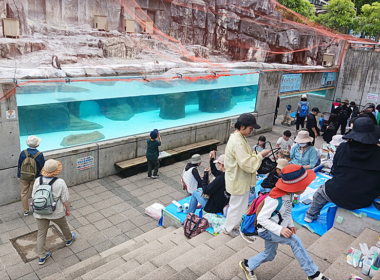 第39回 とべ動物園写生大会