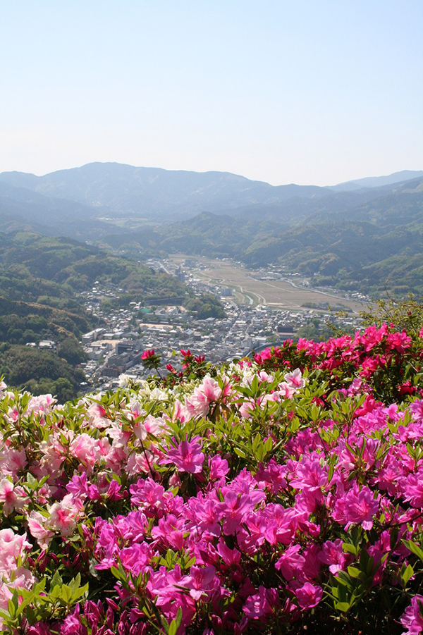 冨士山つつじまつり