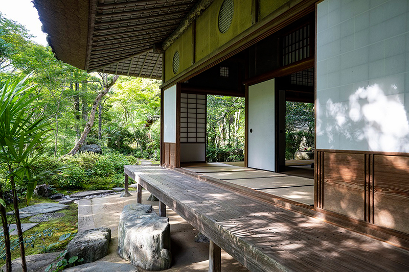 冨士山つつじまつり