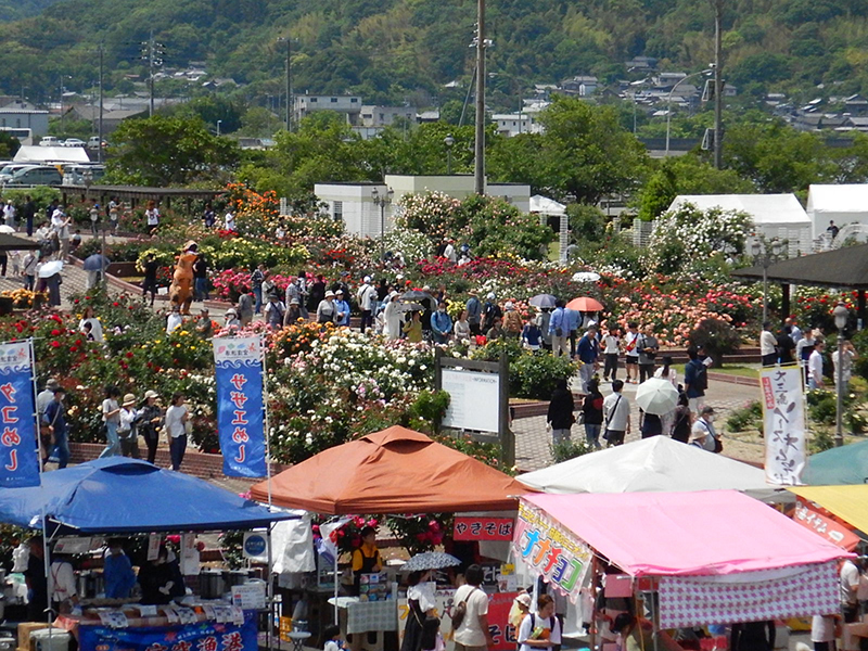 バラ祭りよしうみ2026