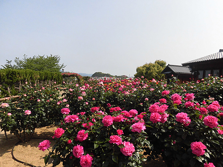 かわら館フェスタ2026