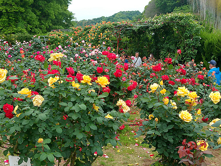 かわら館フェスタ2026