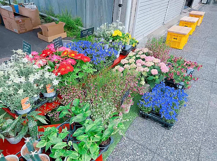 第2回ヤナイマチ マサラタウン