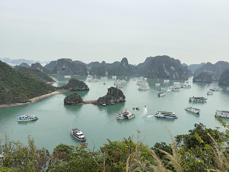 みんなで旅するベトナムDAY