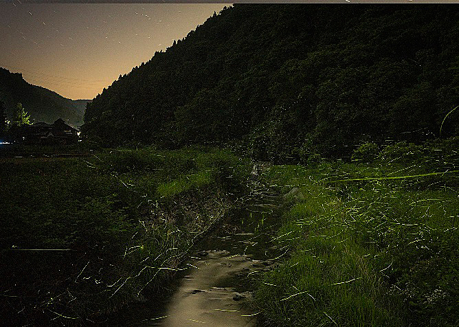 第51回柳沢ほたるまつり