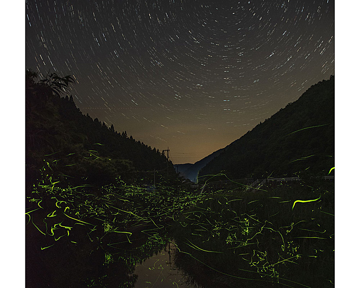 第51回柳沢ほたるまつり