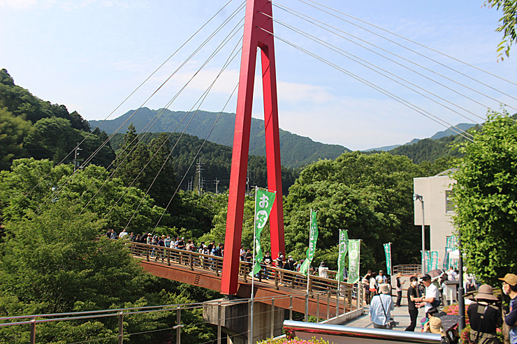 第25回霧の森お茶まつり