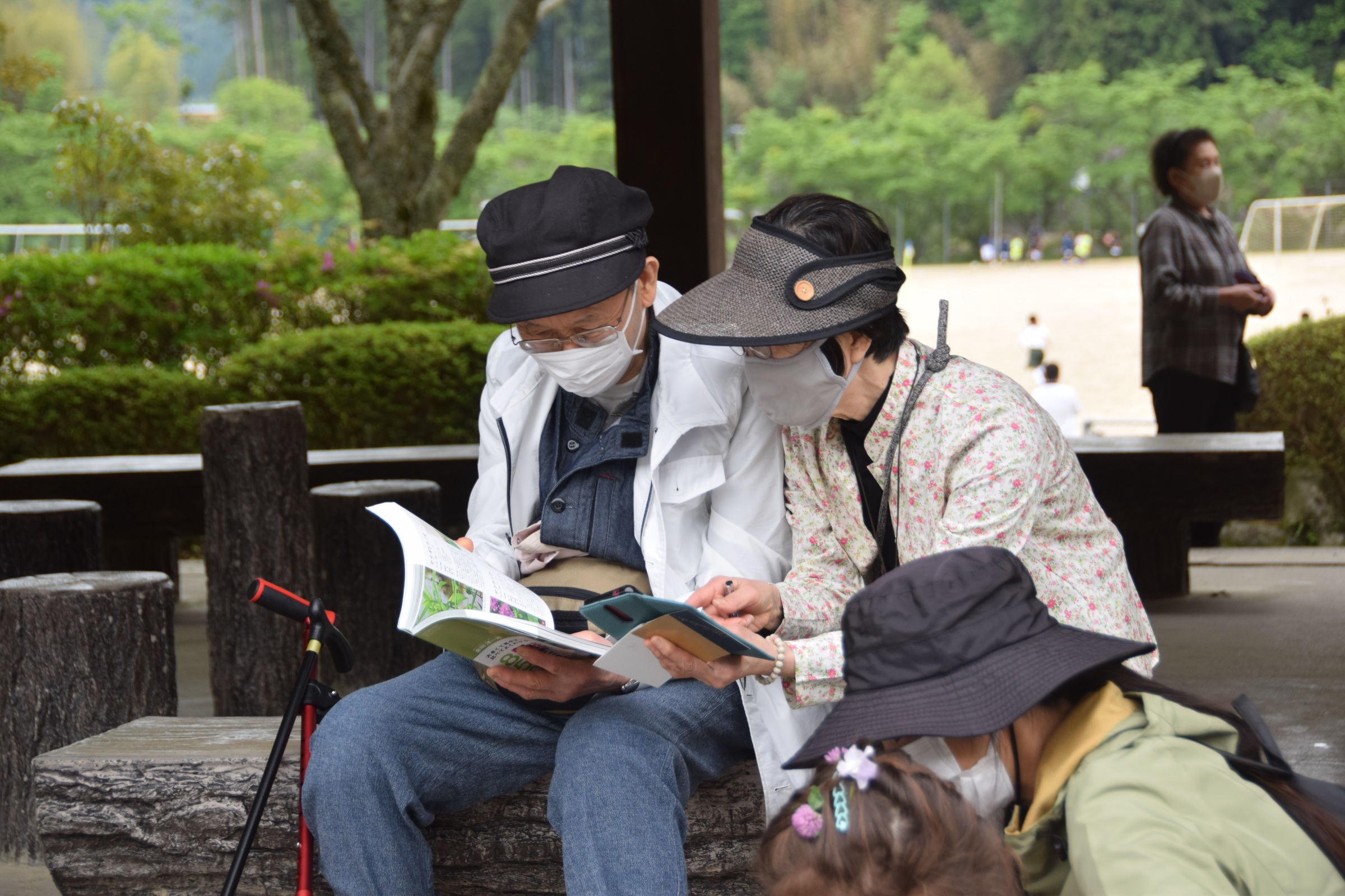 【身近な花の観察会】 久万公園で身近な花の名前を知ろう 【愛媛/久万高原町】 