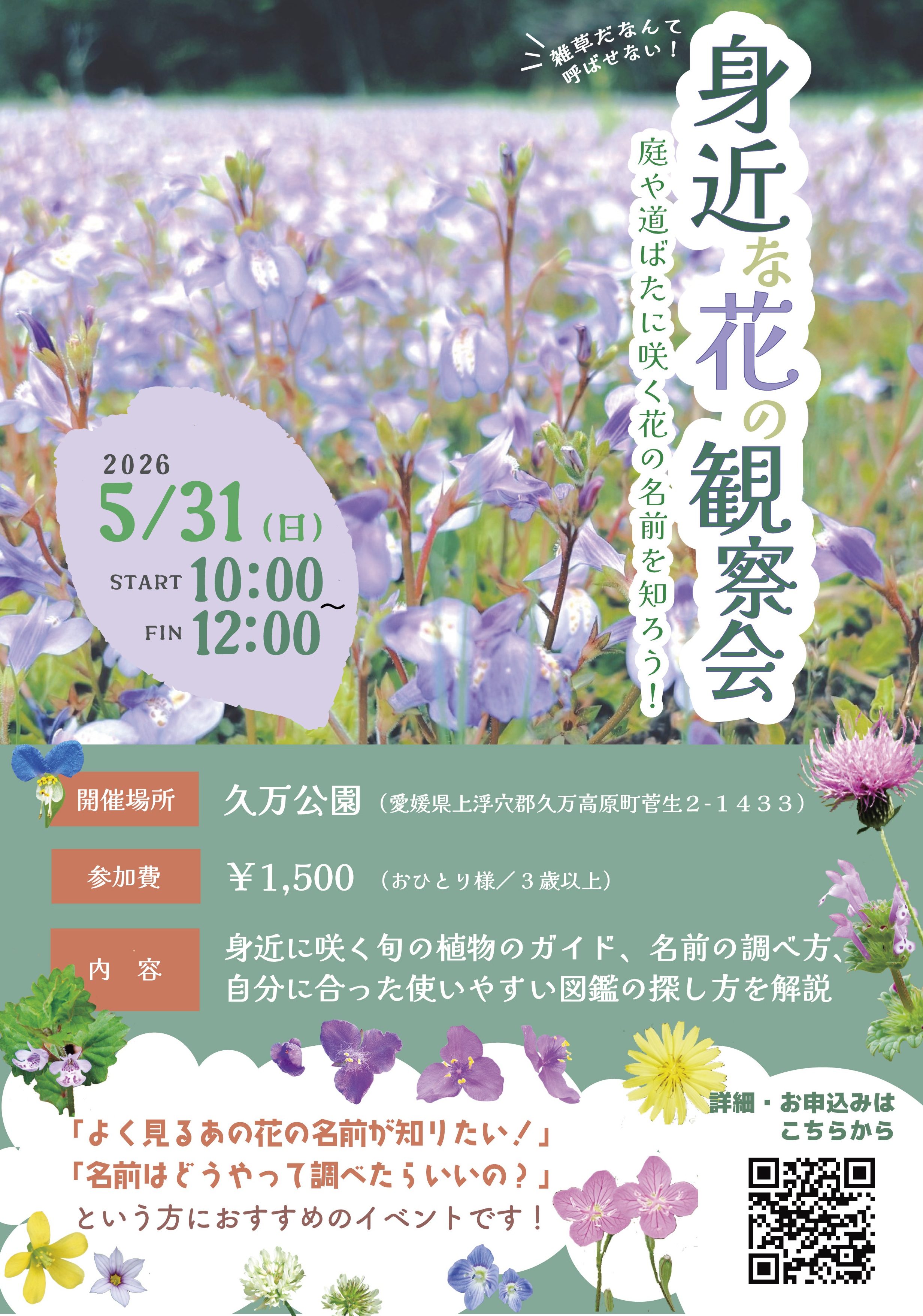 【身近な花の観察会】 久万公園で身近な花の名前を知ろう 【愛媛/久万高原町】 