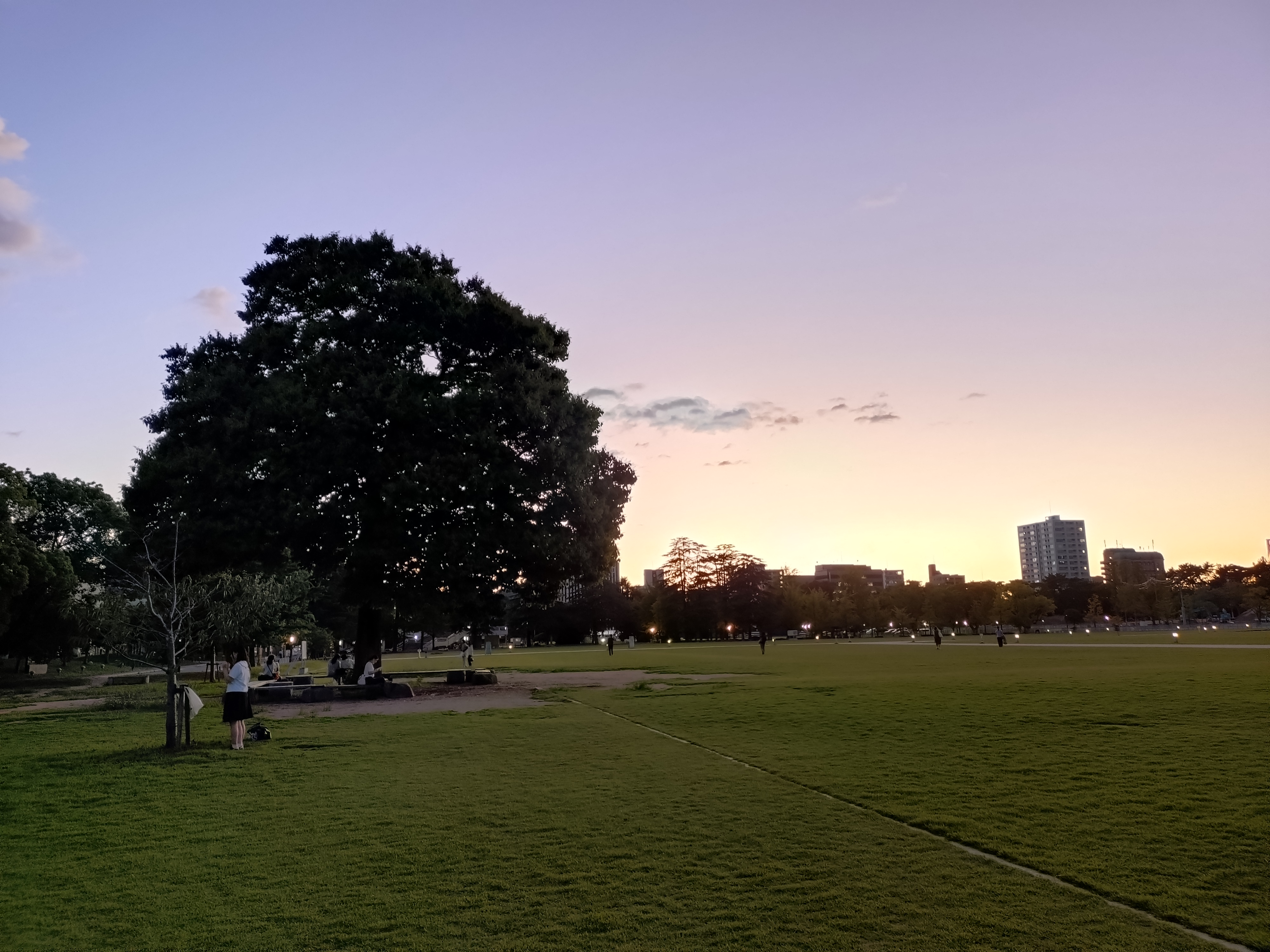 【堀之内夕暮れマルシェ】 夏の夜、城山公園で心地よい夕涼みと美味しいグルメを満喫しよう 【愛媛/松山市】