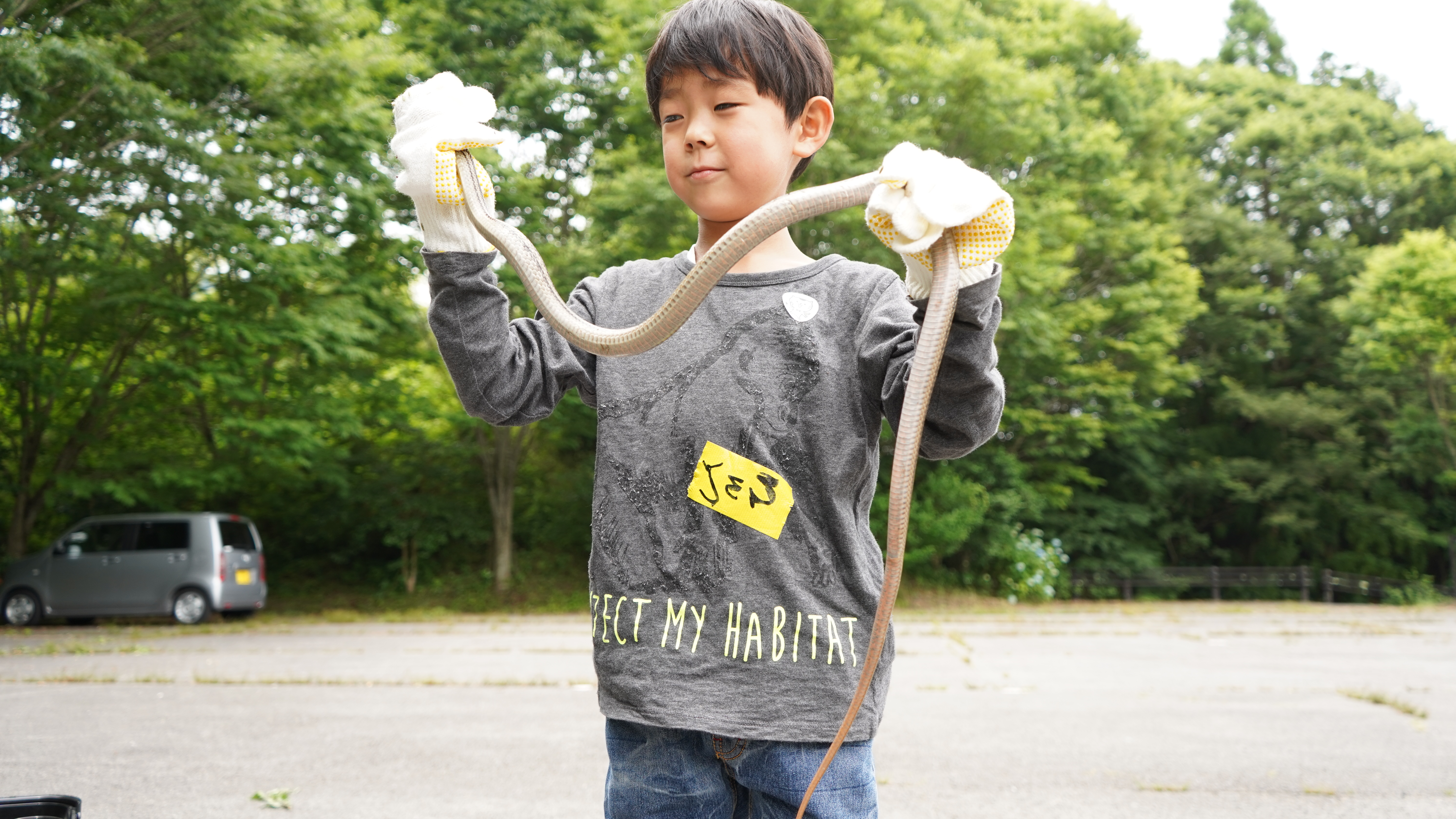 【爬虫類探し】 ふるさと旅行村で発見と学びがあふれる本物体験【愛媛/久万高原町】