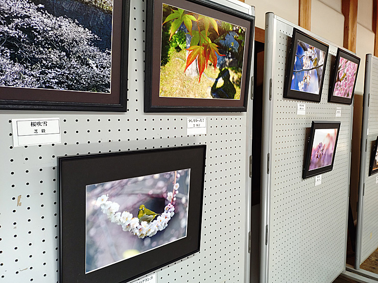 夏休み企画「城山公園写真展」