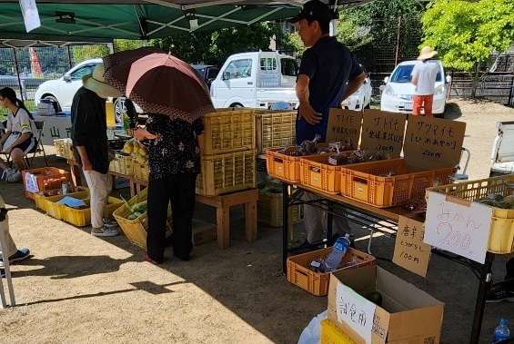 【第6回いよ窪野収穫祭】窪野公園で秋の自然と味覚を楽しむとっておきの休日へ【愛媛/松山市】