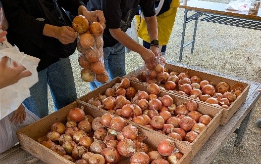 【第6回いよ窪野収穫祭】窪野公園で秋の自然と味覚を楽しむとっておきの休日へ【愛媛/松山市】