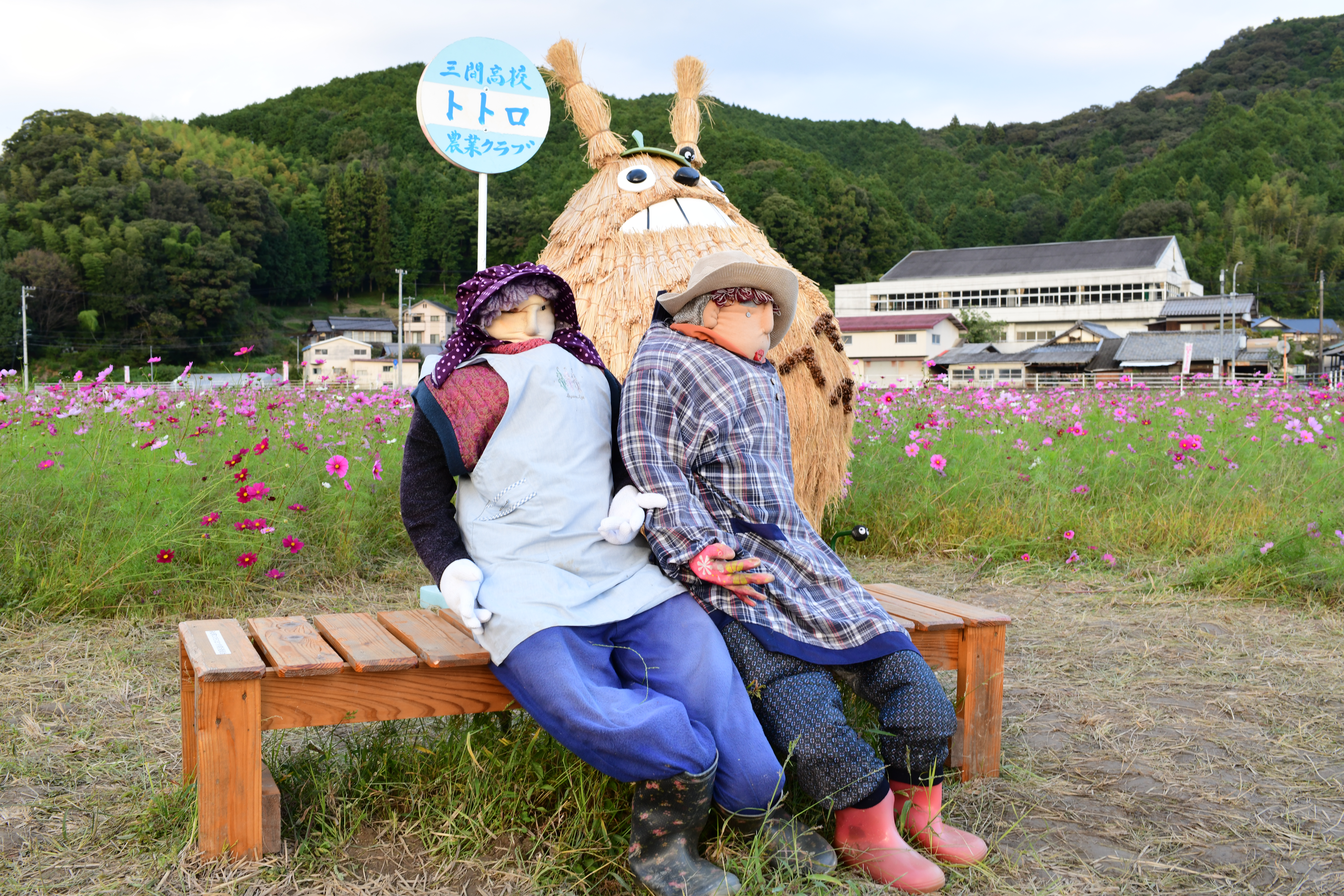 第37回みま町コスモスまつり