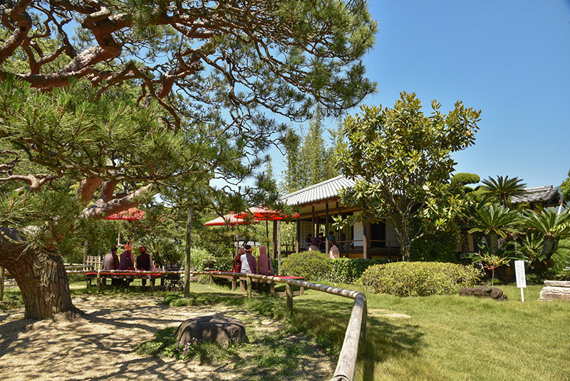 名勝 天赦園 藤の花 春の呈茶会