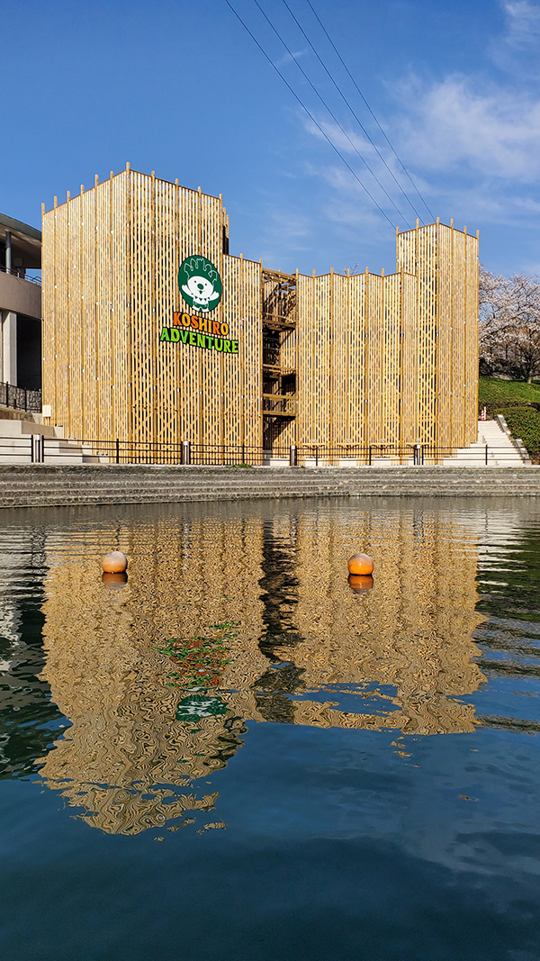 あいあいフェスティバル2026