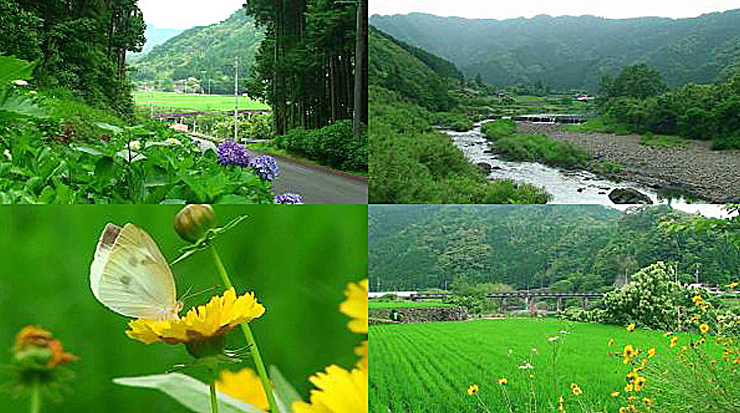 第30回 四万十・源流広見川 川上り駅伝大会