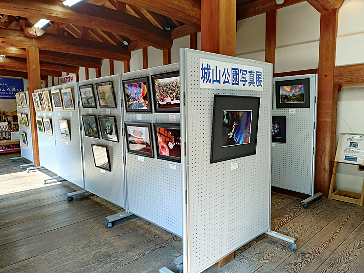 夏休み企画「城山公園写真展」