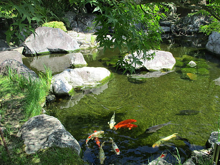 夏休み企画「城山公園写真展」