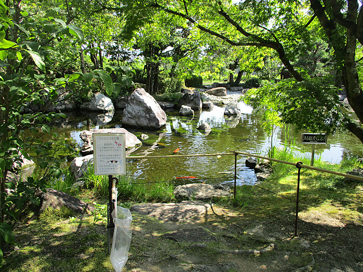 夏休み企画「城山公園写真展」