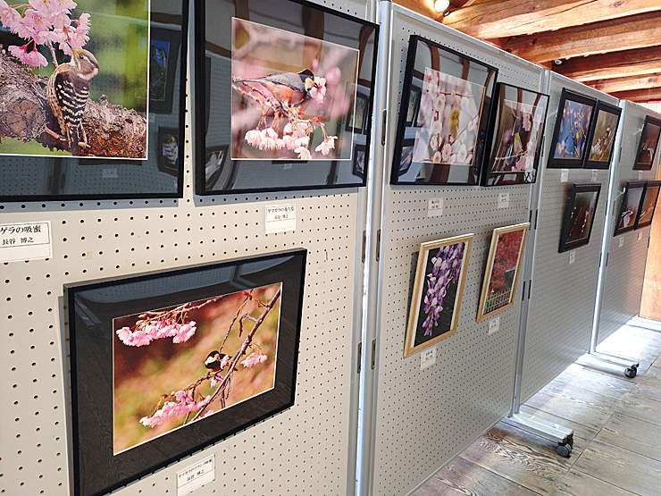 夏休み企画「城山公園写真展」