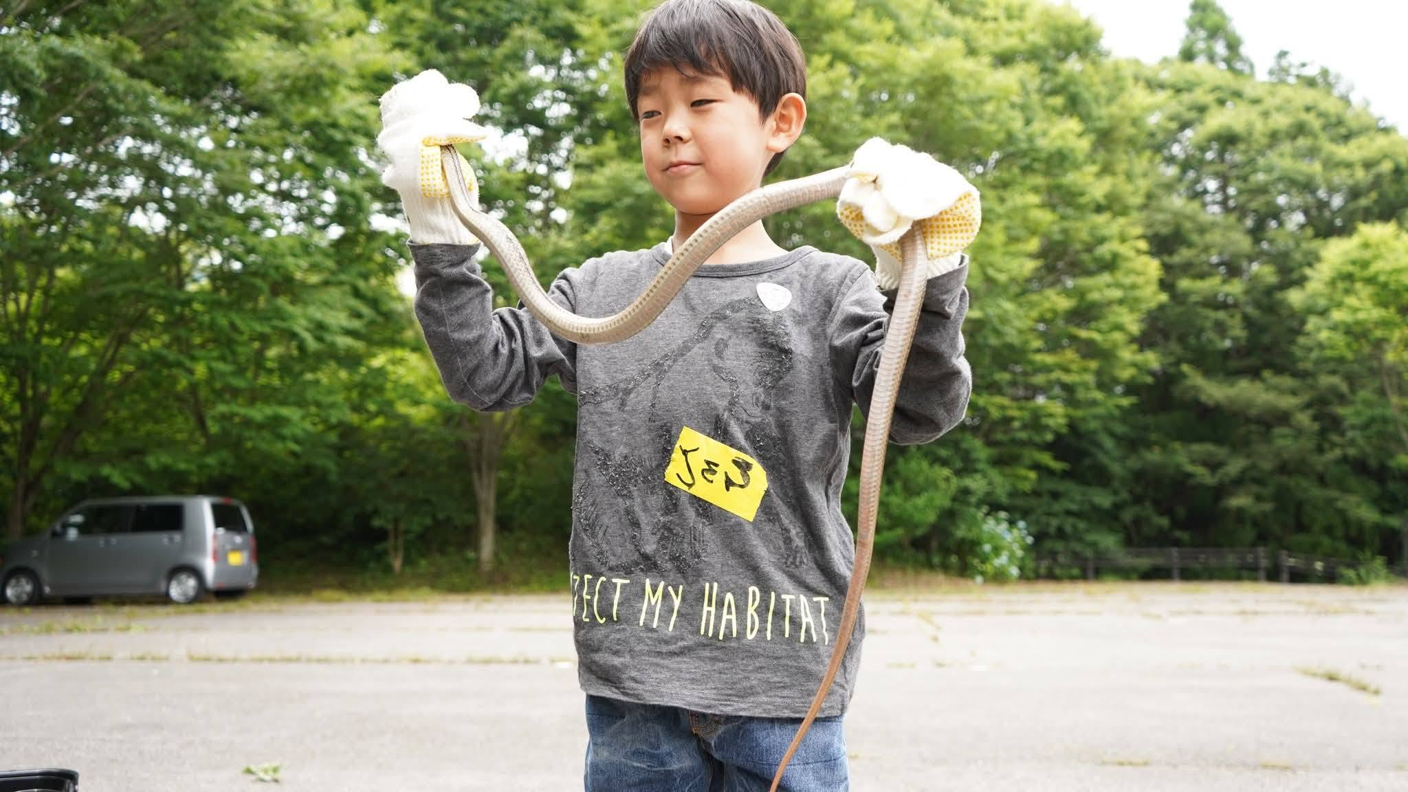 【爬虫類探し 第2弾】 久万高原町で生きもの探しの冒険を満喫しよう 【愛媛/久万高原町】